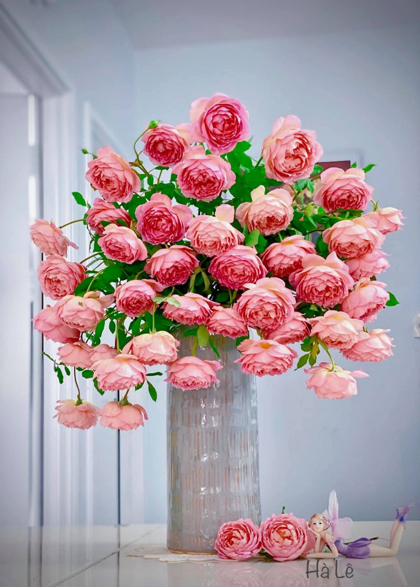 Tử vi hàng ngày - Thứ Ba 13/12/2022 của 12 cung hoàng đạo